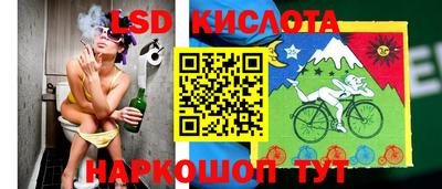 spice Вышний Волочёк